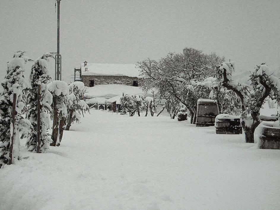 Agriturismo Ca' Maggio Sasso Feltrio Номер фото